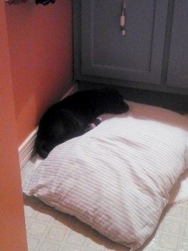 Sara Elizabeth Thompson