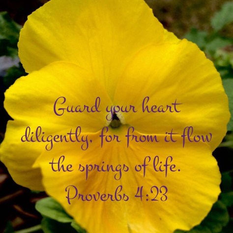 2017-02-05_17-38-43_000