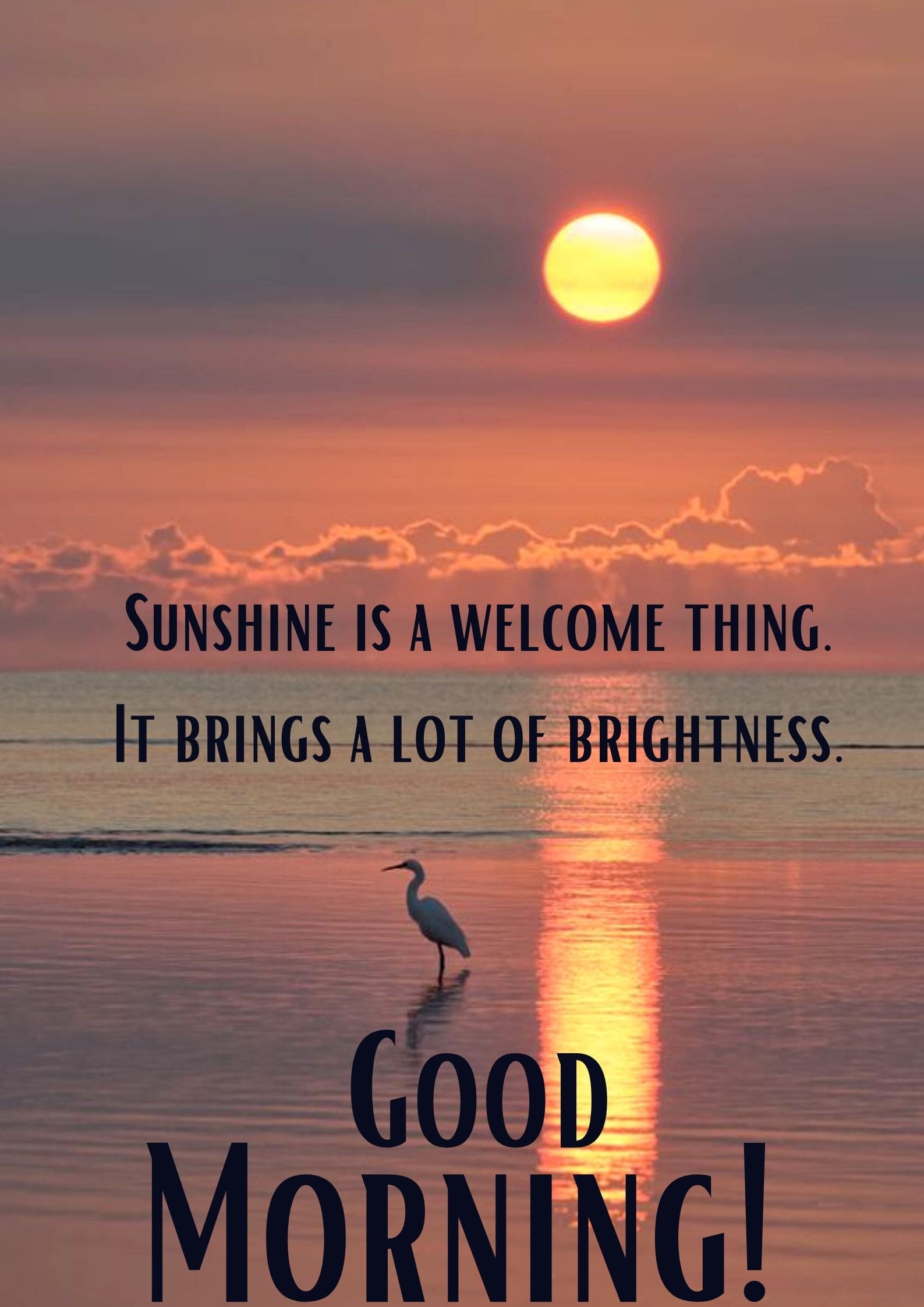 Good-Morning-Sunshine-10