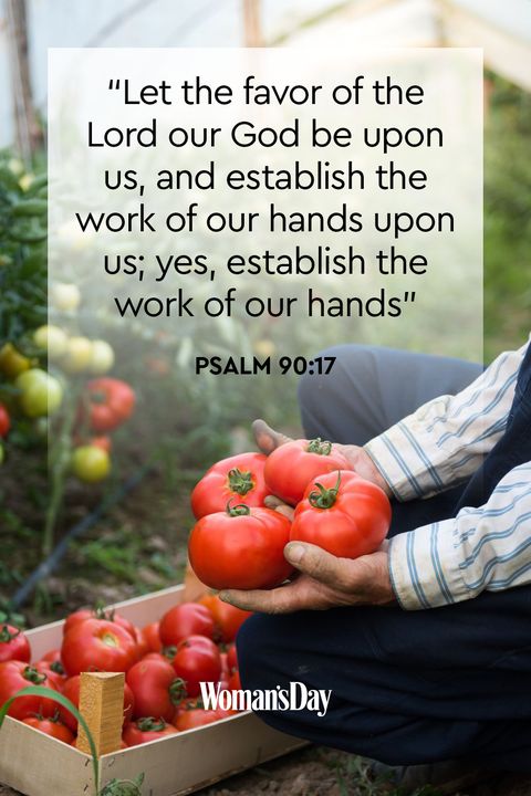wdy-bible-verses-hard-work5-1580751570-2833609776
