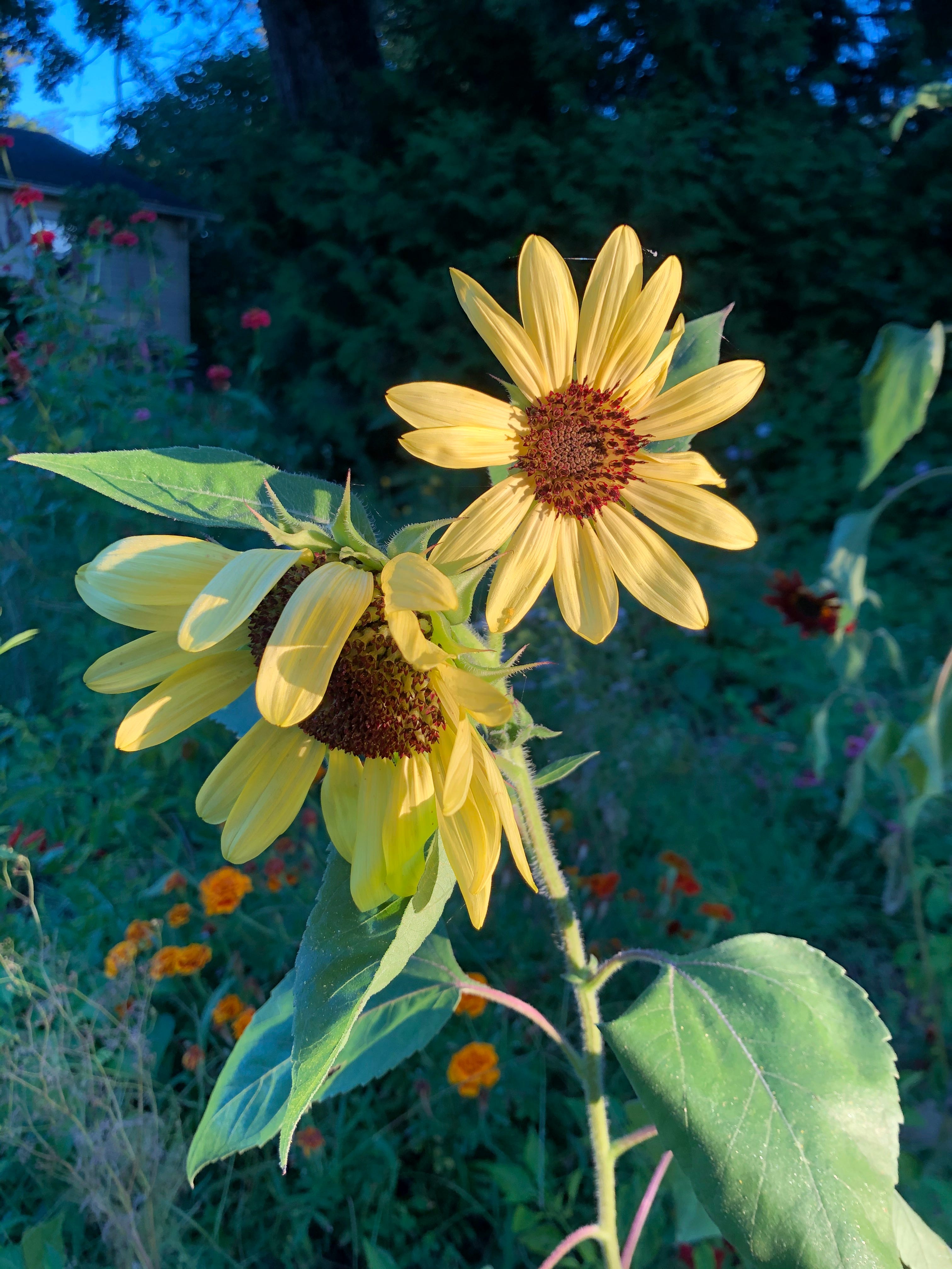 07eaa4af-a26b-41c5-b1a3-0832ebd8e076_4032x3024