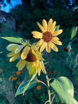 07eaa4af-a26b-41c5-b1a3-0832ebd8e076_4032x3024