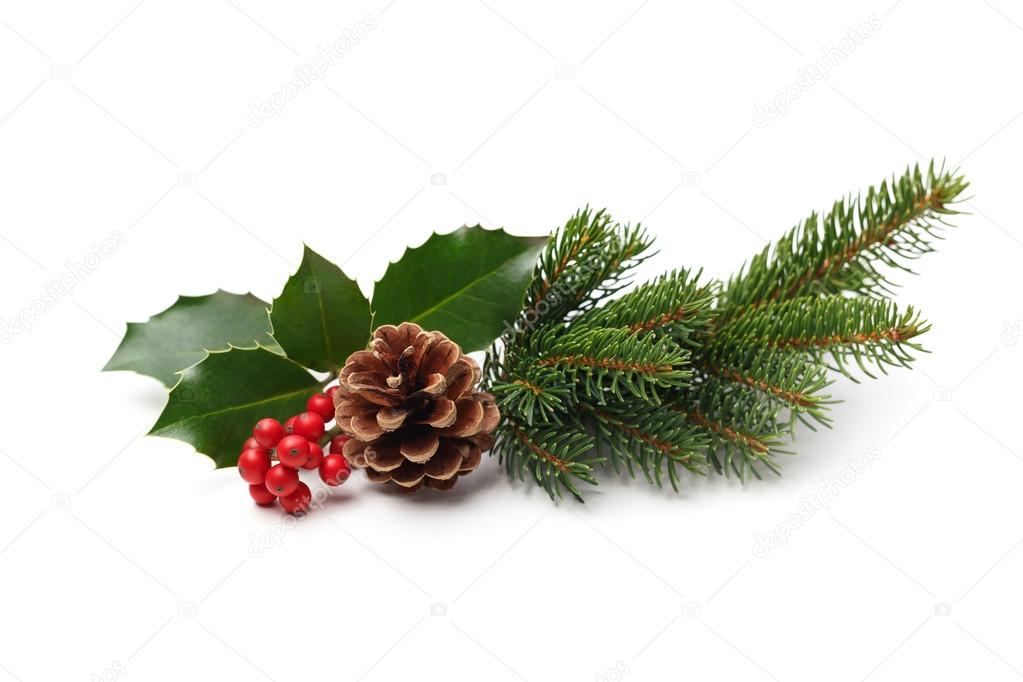 depositphotos_87459706-stock-photo-holly-berries-and-pine-cone-94663834