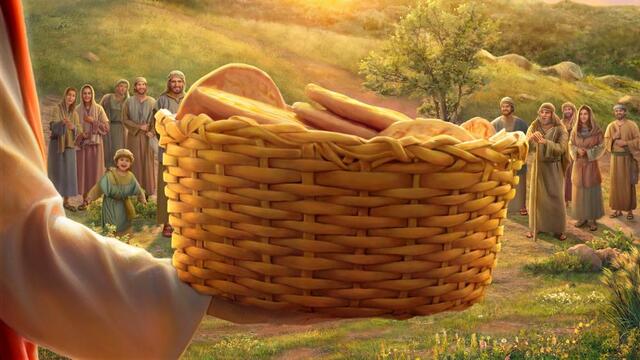 o0640036014719578080-3171206390